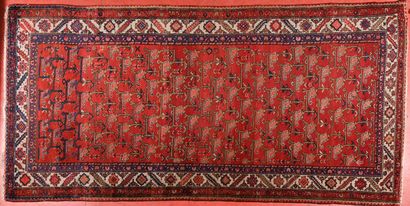 Tapis Iran Heriz 
Chaine, trame coton, velours...