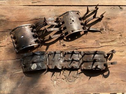 Southwest of France. Two wrought iron dog...