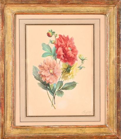 Antoine BERJON (1754-1843)
Dahlias
Watercolor...