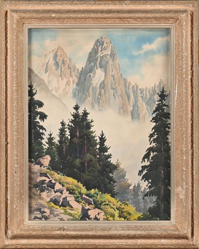 In lots : 
- Pierre FARJAT (20th century)
Peaks...