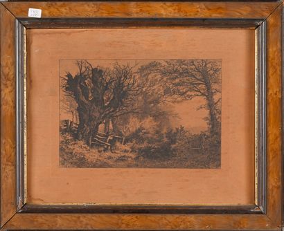 Gravure sur papier brun figurant un paysage...