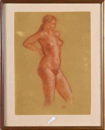 Aristide MAILLOL, D'après 
Etude de torse...