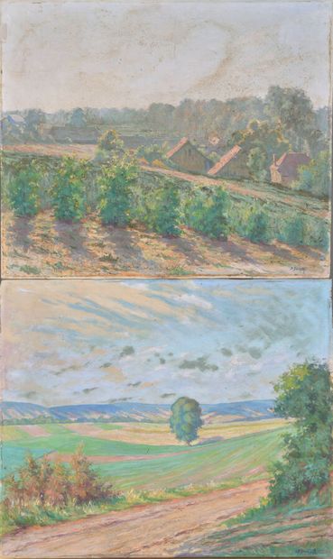 B.DUMONT (XXème).
En pendant :
-Environs...