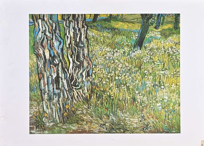 Vincent Van Gogh, D'après
Troncs d'arbre...