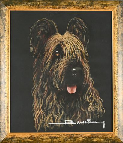 Ecole du XXe siècle 
Portrait de chien
Pastel
Signé...