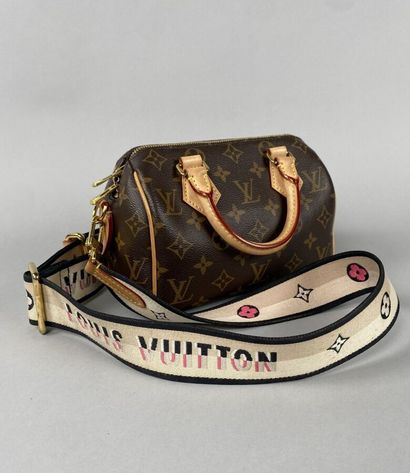 LOUIS VUITTON. Sac 