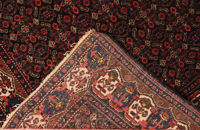 Tapis Iran Seneh décors dit 