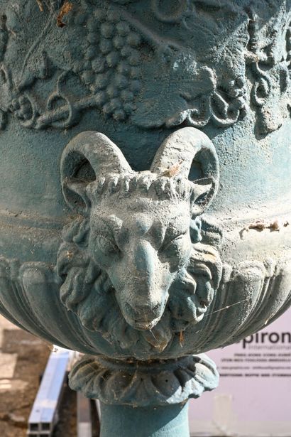 Paire de vases Médicis de jardin en fonte...
