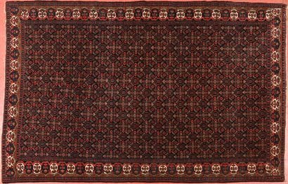 Tapis Iran Seneh décors dit 