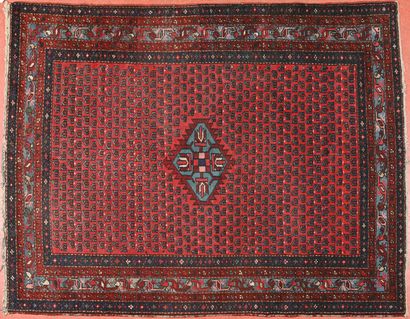 Tapis Iran, Hamadan 
Chaine trame coton,...