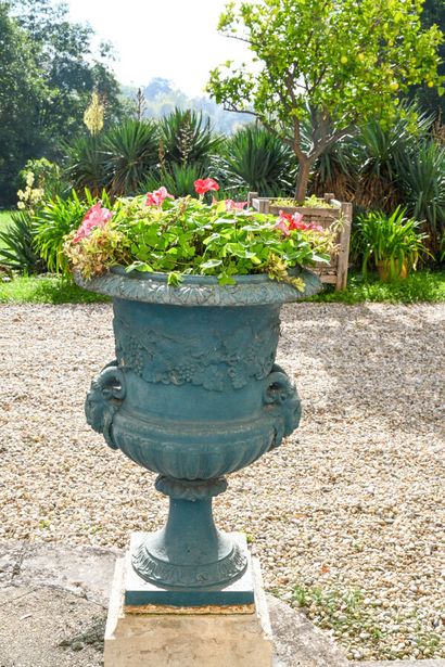 Paire de vases Médicis de jardin en fonte...