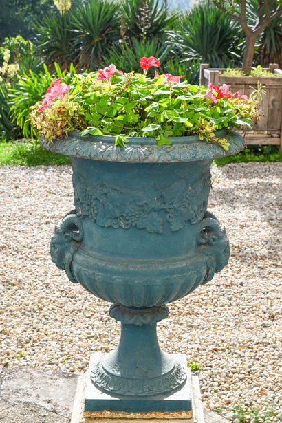 Paire de vases Médicis de jardin en fonte...
