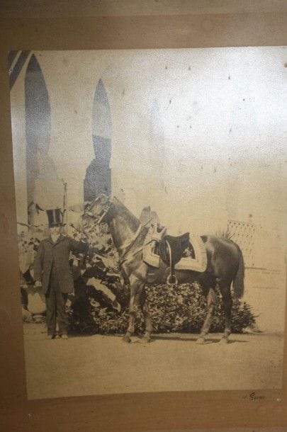 Photographie de Geiser :cheval arabe en ...
