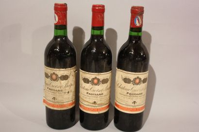 3 B CHÂTEAU CROIZET BAGES (e.t.h. dont 2...