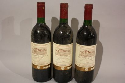 3 B CHÂTEAU DU GLANA (B.G; e.l.s.) Saint...