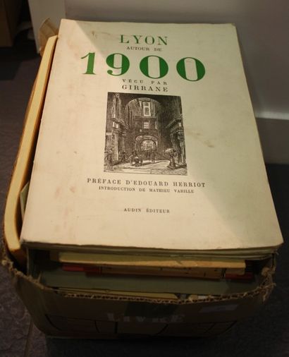Lyon, Histoire et patrimoine. 

Important...