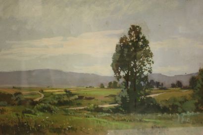 Émile WÉGELIN (1875-1962)
Emile Wégelin (1875-1962)

Paysage...