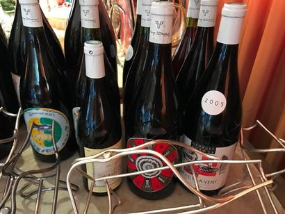 Bouteilles de vin : Bocuse d'or, Moulin à...
