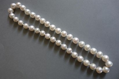 Collier de perles des mers du sud, diamètre...