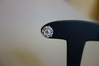Paire de boutons d'oreilles « Rosaces » en...