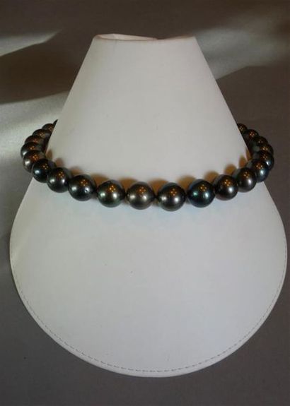 Collier de perles de Tahiti grises diamètre...