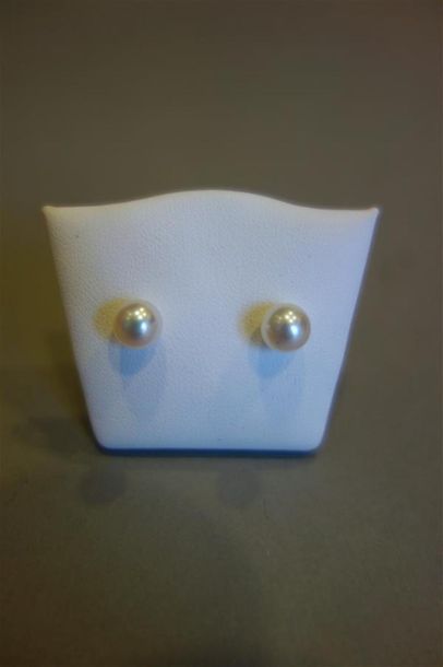 Paire de clous d'oreilles en or jaune ornés...