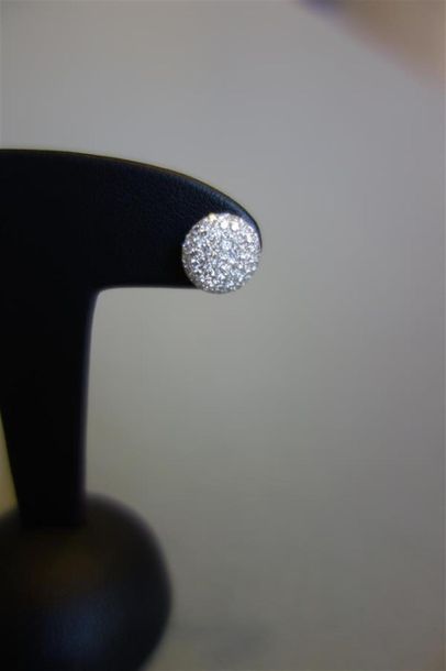 Paire de boutons d'oreilles ronds en or gris...