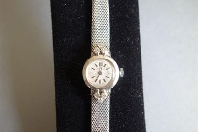 EVIANA : Montre de dame en or gris 18K (750/oo)...