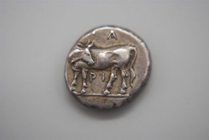 MYSIE -PARIUM
HEMIDRACHME D ARGENT (350-300)...
