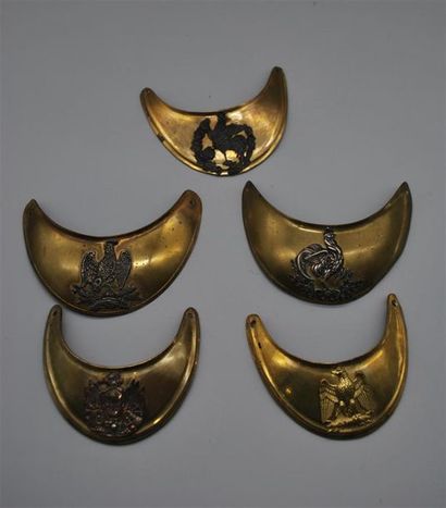 FRANCE . HAUSSES COL OFFICIERS, originaux,...