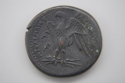 EGYPTE PTOLEMEE I SOTER
BRONZE : DIOBOLE...