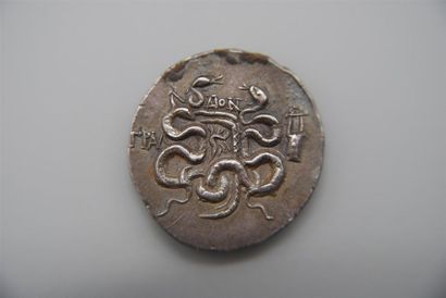 LYDIE- TRALLEIS
CISTOPHORE en ARGENT :A/...