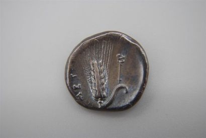 LUCANIE - METAPONTE
DRACHME EN ARGENT A/...