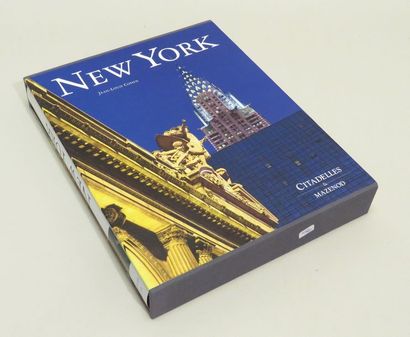 NEW-YORK, par Jean-Louis COHEN. L'art et...