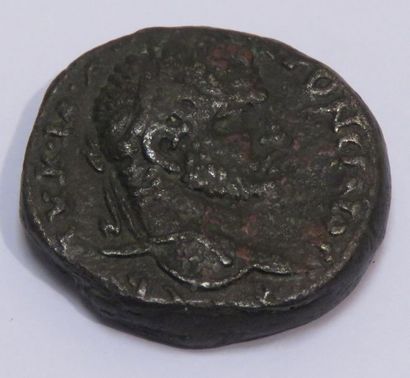 EGYPTE

Tetradrachme Syro-phénicien en billon

19...