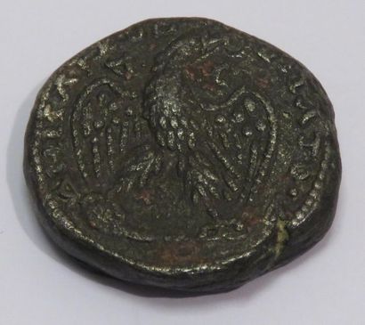 EGYPTE

Tetradrachme Syro-phénicien en billon

19...