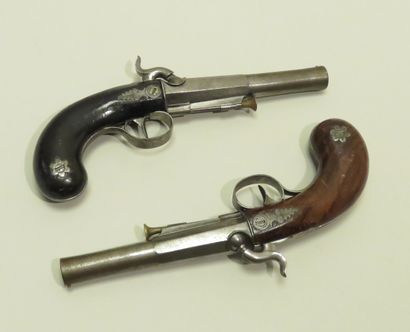 Paire de pistolets à percussion. 
Canons...