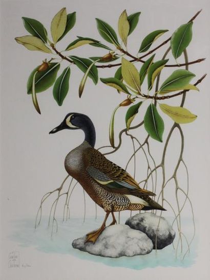 Gaëtan DU CHATENET (Xxème)
Canard. Lithographie...