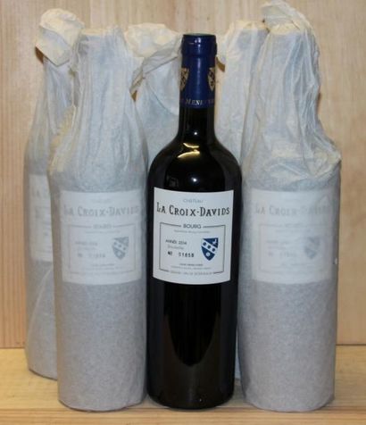 Château La Croix Davids 