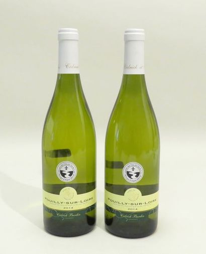 Pouilly-Sur-Loire, Cédrick Bardin, Blanc,...