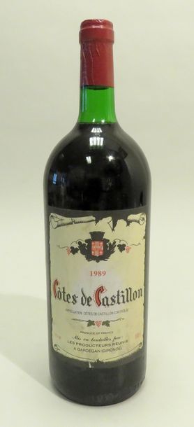 Côtes de Castillon, millésime 1989. 1 MAG...