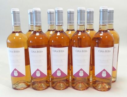 Cima Rosa, Cerasuolo d'Abruzzo, Rosé, Vin...