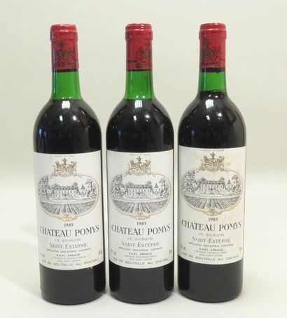 Château Pomys, Cru Bourgeois, Saint-Estèphe,...