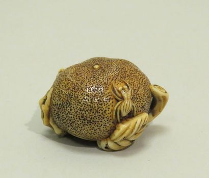 Netsuke en ivoire rehaussé de brun, représentant...