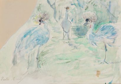 Berthe MORISOT (1841-1895)

Grues à aigrettes...