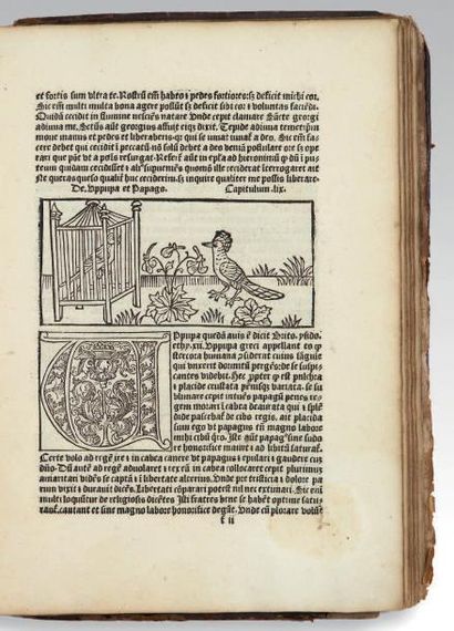 [NICOLAUS PERGAMENUS]
[Dialogus Creaturarum]....