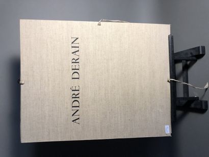 André DERAIN (1880-1954)

Portfolio containing...