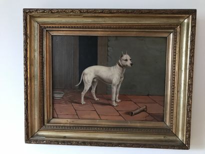 Ecole ANGLAISE du XIXème siècle

Dog in an...