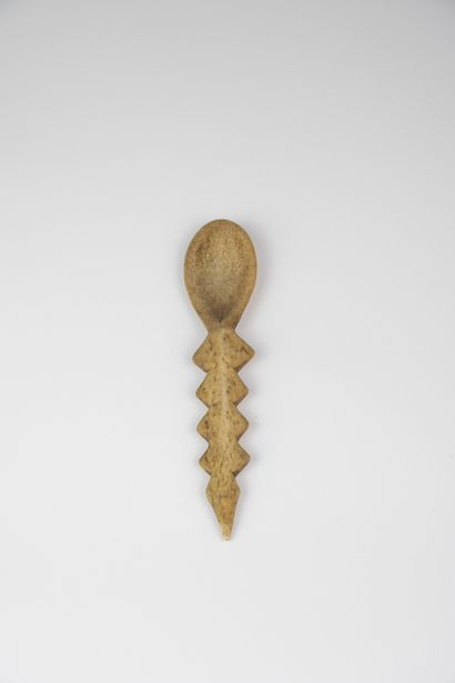 Cuillère Léga, RDC
Os
L. 21 cm
Provenance...