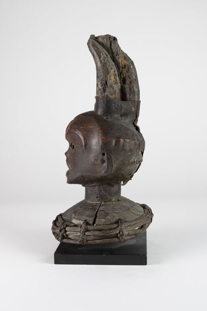 Tête cimier Ekoï, Nigeria
Bois polychrome...